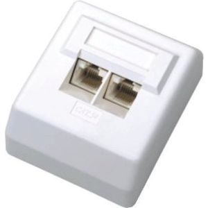 Obrázok pre výrobcu DATACOM Datová zásuvka UTP CAT6 2xRJ45 na omítku 45st. bílá