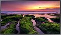 Obrázok pre výrobcu 65" LED Samsung QB65B - UHD,350cd,MI,16/7