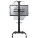 Obrázok pre výrobcu NewStar mobilní stojan pro obrazovky 37-70", 50 kg, VESA 200x200 až 600x400 mm, černý