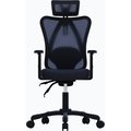 Obrázok pre výrobcu Gembird ergonomická židle Onyx