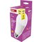 Obrázok pre výrobcu EMOS LED žiarovka Classic A80 / E27 / 20 W (150 W) / 2452 lm / Teplá biela