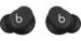Obrázok pre výrobcu Beats Solo Buds ANC/BT/ Bezdrát/Matte Black