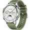 Obrázok pre výrobcu Huawei Watch GT 4 46mm /Silver/Elegant Band/Green