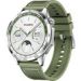 Obrázok pre výrobcu Huawei Watch GT 4 46mm /Silver/Elegant Band/Green