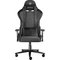 Obrázok pre výrobcu Genesis NITRO 550 G2, šedé