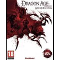 Obrázok pre výrobcu ESD Dragon Age Origins Awakening