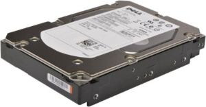 Obrázok pre výrobcu DELL disk 1TB/ 7.2k/ SATA/ 6G/ 512n/ cabled/ 3.5"/ pro PowerEdge T150