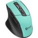 Obrázok pre výrobcu C-TECH Ergo WLM-05 /Ergonomická/Optická/Bezdrátová USB/Zelená