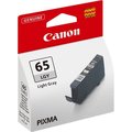 Obrázok pre výrobcu Canon originál ink CLI-65, light gray, 12.6ml, 4222C001, Canon Pixma Pro-200