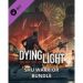 Obrázok pre výrobcu ESD Dying Light SHU Warrior Bundle