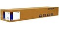 Obrázok pre výrobcu Photo Paper Gloss (250), 17" x 30,5 m, 250g/m2