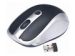Obrázok pre výrobcu Gembird bezdrôtová optická myš MUSW-002, 1600 DPI, nano USB, čierno-strieborná