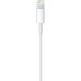 Obrázok pre výrobcu Apple Lightning to USB Cable