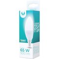 Obrázok pre výrobcu LED žárovka Forever C37 E14 10W teplá bílá (3000K)