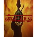Obrázok pre výrobcu ESD Sudden Strike Gold