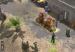 Obrázok pre výrobcu ESD Jagged Alliance Back in Action