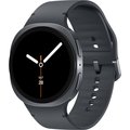 Obrázok pre výrobcu Samsung Galaxy Watch 8 44mm /Sport Band/Black