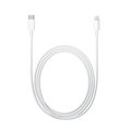 Obrázok pre výrobcu Lightning to USB-C Cable (2m)