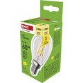 Obrázok pre výrobcu EMOS LED FLM MINI GL 5,9W(60W) 806lm E14 WW