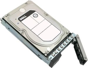 Obrázok pre výrobcu DELL disk 4TB/ 7.2K/ SATA 6Gbps/ 512n/ 3.5"/ Hot-Plug/ pro PowerEdge R650,R750,R760,R7515,R7525,R7615,R7625