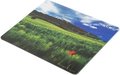 Obrázok pre výrobcu Natec Photo Mousepad ITALY 220x180mm