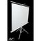 Obrázok pre výrobcu Elite Screens platno stativ 203x203cm T113NWS1