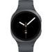 Obrázok pre výrobcu Samsung Galaxy Watch 8 40mm /Sport Band/Black