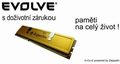 Obrázok pre výrobcu EVOLVEO DDR II 2GB 800MHz (KIT 2x1GB) EVOLVEO GOLD (s chladičem, box), CL6 - dual channel