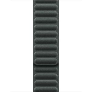Obrázok pre výrobcu Watch Acc/41/Evergreen Magnetic Link - M/L