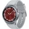 Obrázok pre výrobcu Samsung Galaxy Watch 6 Classic/43mm/Silver/Sport Band/Silver