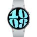 Obrázok pre výrobcu Samsung Galaxy Watch 6 /44mm/Silver/Sport Band/Silver
