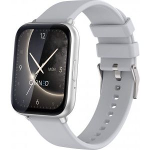 Obrázok pre výrobcu CARNEO Artemis HR+/Silver/Elegant Band/Silver