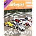 Obrázok pre výrobcu ESD Assetto Corsa Porsche Pack 1