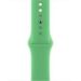 Obrázok pre výrobcu Watch Acc/41/Bright Green SB-Reg