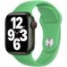 Obrázok pre výrobcu Watch Acc/41/Bright Green SB-Reg