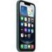 Obrázok pre výrobcu iPhone 16e Silicone Case – Lake Green