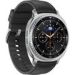 Obrázok pre výrobcu Samsung Galaxy Watch 8 Classic 46mm /Sport Band/Black