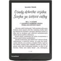 Obrázok pre výrobcu E-book POCKETBOOK 743G InkPad 4 Stardust Silver, stříbrný