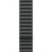 Obrázok pre výrobcu Watch Acc/45/Evergreen Magnetic Link - M/L