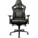 Obrázok pre výrobcu TRUST herní křeslo GXT 712 Resto Pro Gaming Chair