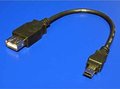 Obrázok pre výrobcu Redukcia USB (2.0), USB mini M (5pin)- USB A F, 0.2m, čierny, Logo