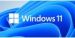 Obrázok pre výrobcu MS Win 11 Pro 64-bit Eng 1pk OEM DVD