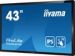 Obrázok pre výrobcu 43" iiyama T4362AS-B1:IPS,4K UHD,Android,24/7